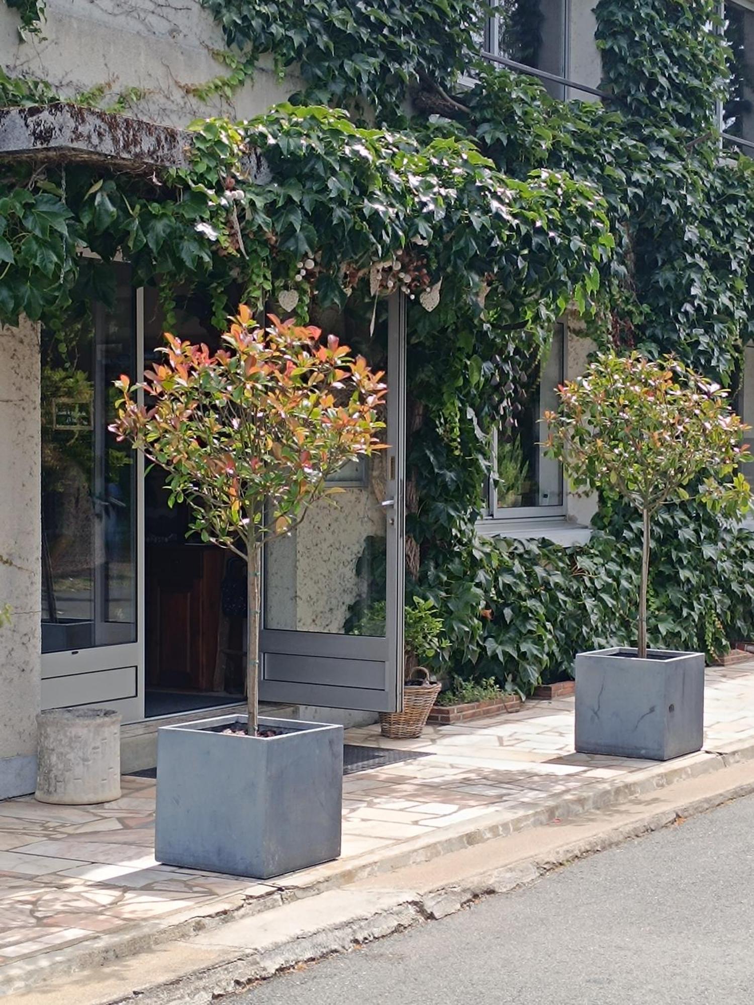 Chambres D'Hotes Du Port Gautier Vouvray-sur-Loir Luaran gambar